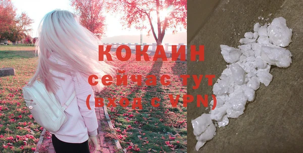 прущие грибы Абдулино