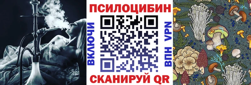 мега ССЫЛКА  купить наркотик  Алапаевск  Галлюциногенные грибы Cubensis 